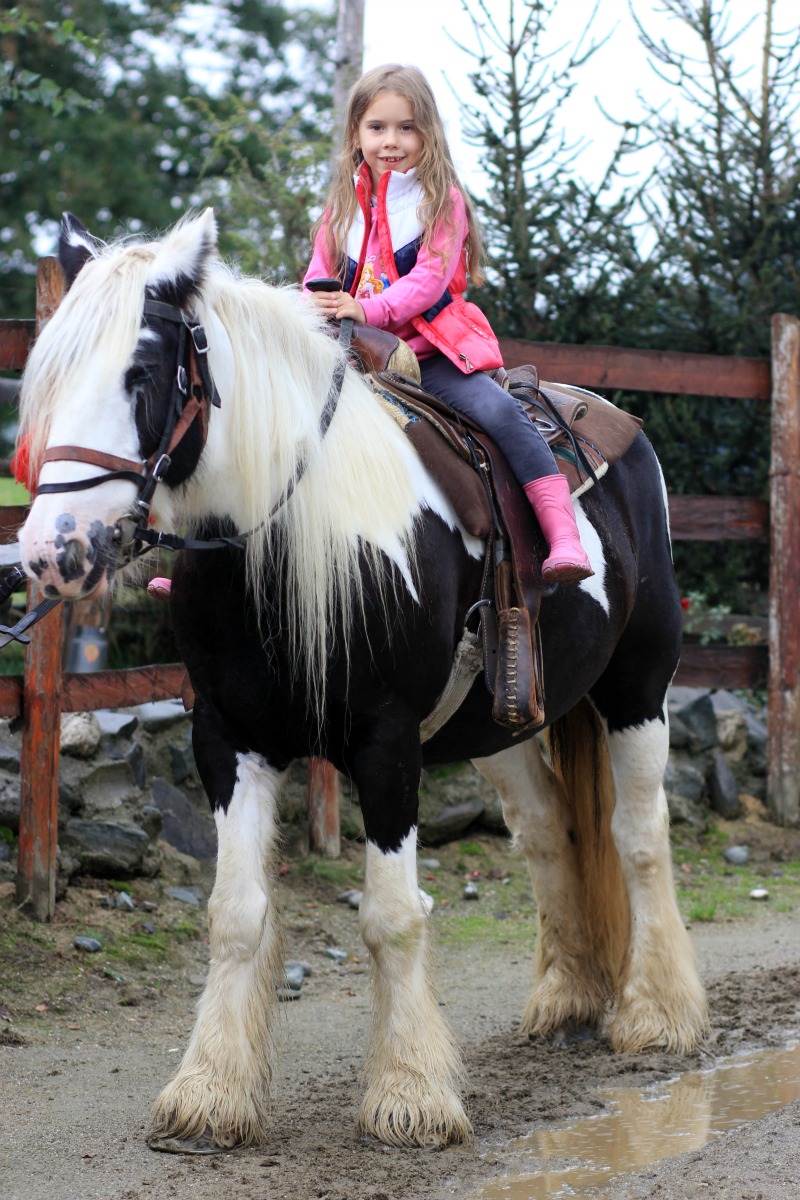 Horse Riding at Club Villa Bran, Bran,Romania
