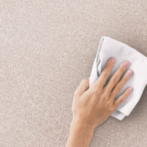 Steam or Dry Carpet Cleaning