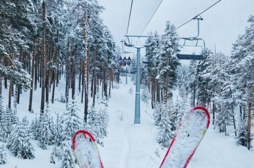 red skis on snow covered ground