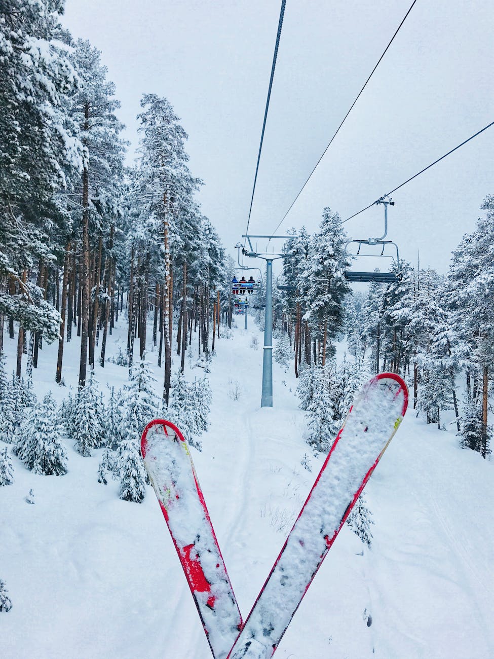 red skis on snow covered ground